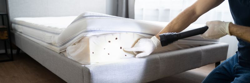 Mattress Fumigation