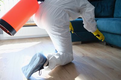 Commercial Fumigation in Fort Myers, FL
