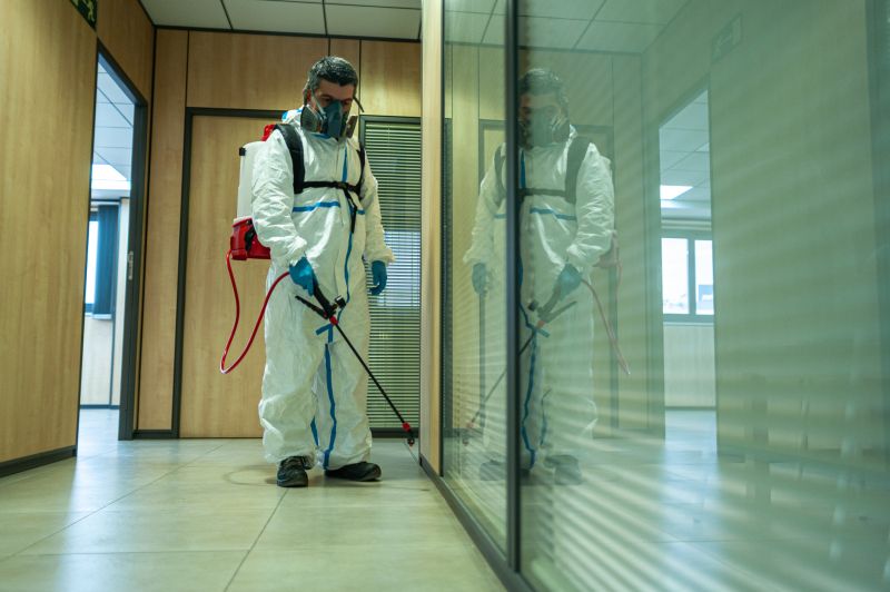 Spider Fumigation Service in Franklin, TN