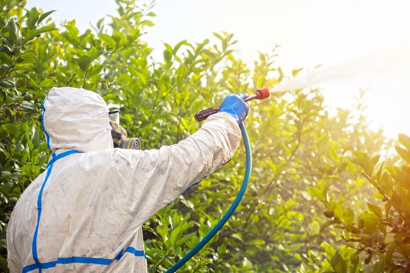 The Most Common Pests That Require Fumigation